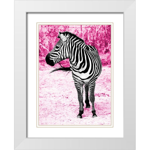 Zebra Set Free White Modern Wood Framed Art Print with Double Matting by Peck, Gail