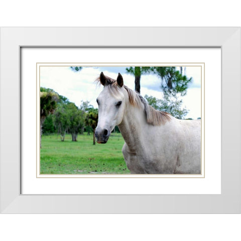 Dockside White Modern Wood Framed Art Print with Double Matting by Peck, Gail