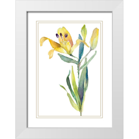 Yellow Lily White Modern Wood Framed Art Print with Double Matting by Loreth, Lanie