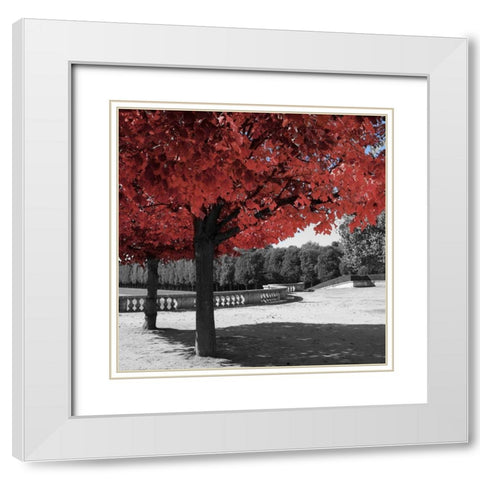 Garden Walk White Modern Wood Framed Art Print with Double Matting by Navas, Emily