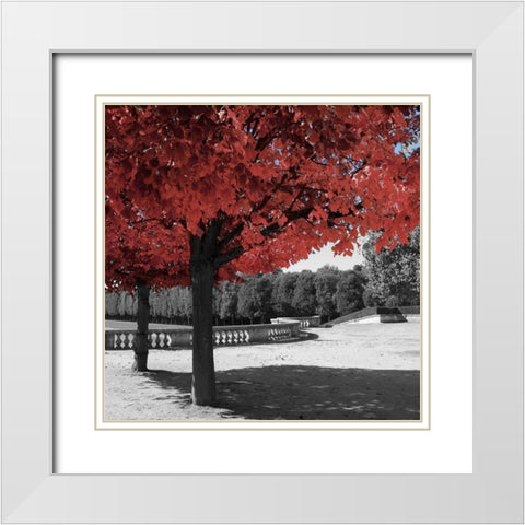 Garden Walk White Modern Wood Framed Art Print with Double Matting by Navas, Emily
