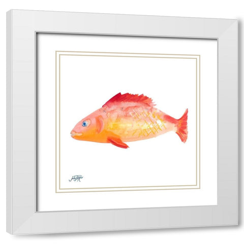 Fish IV White Modern Wood Framed Art Print with Double Matting by DeRice, Julie