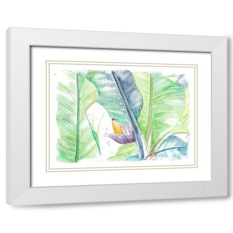 Fresh Banana Plantain White Modern Wood Framed Art Print with Double Matting by Pinto, Patricia