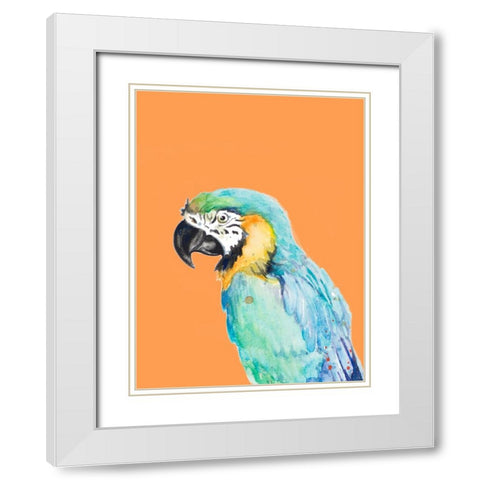 Parrot Portrait White Modern Wood Framed Art Print with Double Matting by Pinto, Patricia