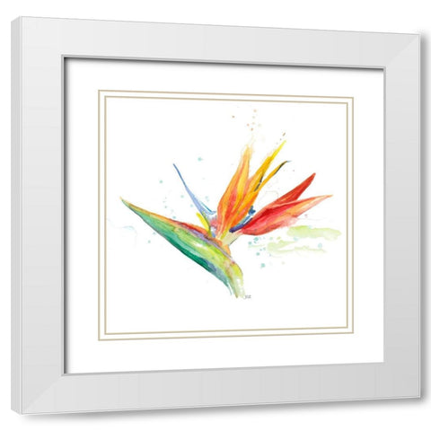 Bird of Paradise III White Modern Wood Framed Art Print with Double Matting by Pinto, Patricia