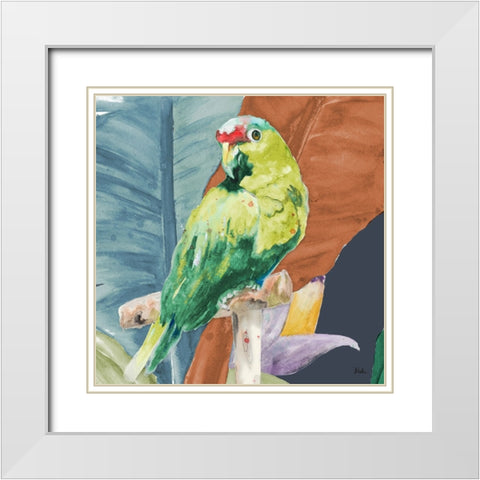 Tropical Parrot White Modern Wood Framed Art Print with Double Matting by Pinto, Patricia