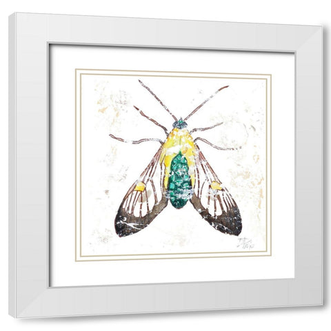 Wild Butterfly White Modern Wood Framed Art Print with Double Matting by Pinto, Patricia