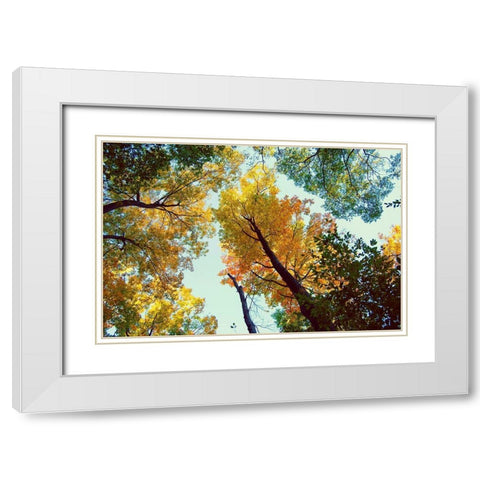 Looking Up White Modern Wood Framed Art Print with Double Matting by Wilson, Kali