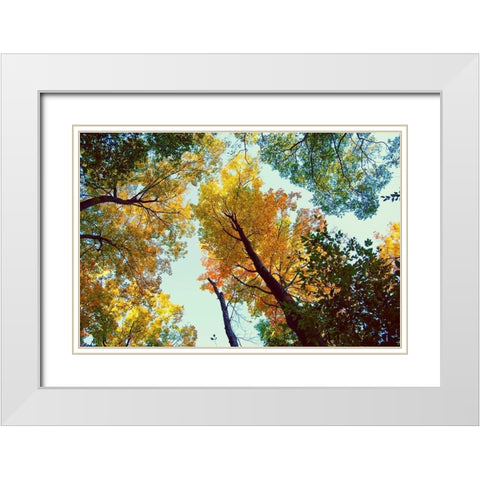 Looking Up White Modern Wood Framed Art Print with Double Matting by Wilson, Kali