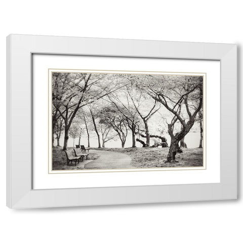 Path Walk White Modern Wood Framed Art Print with Double Matting by Wilson, Kali