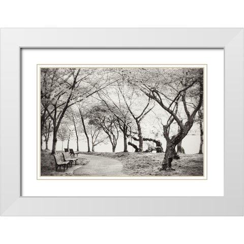 Path Walk White Modern Wood Framed Art Print with Double Matting by Wilson, Kali