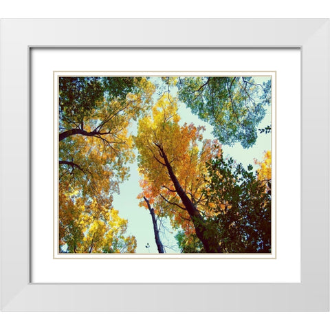 Looking Up White Modern Wood Framed Art Print with Double Matting by Wilson, Kali