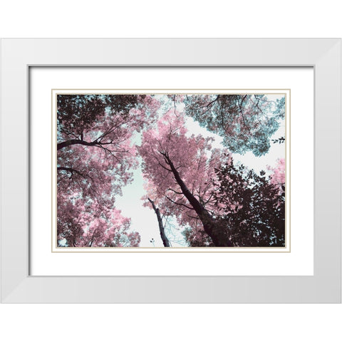 Blooming Cherry Blossom White Modern Wood Framed Art Print with Double Matting by Wilson, Kali