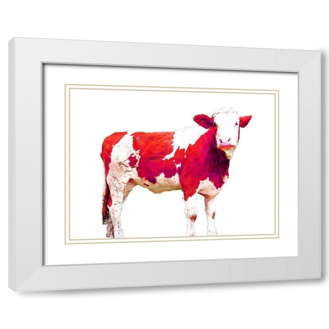 Bright Red Swiss Cow White Modern Wood Framed Art Print with Double Matting by Hyler, JB