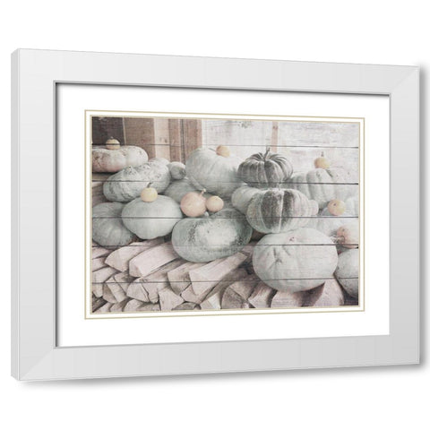 Pumpkins in Fall White Modern Wood Framed Art Print with Double Matting by Hyler, JB