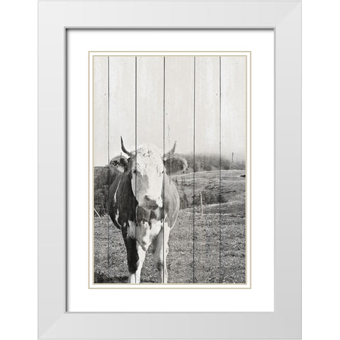 BW Country Cows on Wood White Modern Wood Framed Art Print with Double Matting by Hyler, JB