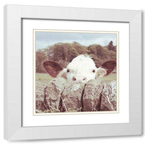 Peek-a-Boo Cow White Modern Wood Framed Art Print with Double Matting by Hyler, JB
