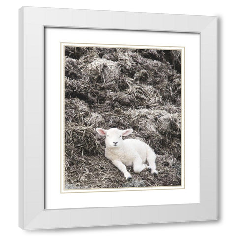 Sheep Vibes White Modern Wood Framed Art Print with Double Matting by Hyler, JB