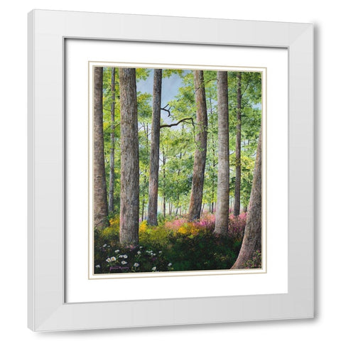 Enchanted Forest White Modern Wood Framed Art Print with Double Matting by Redding, James