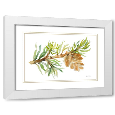 Fir Tree Branch and Cone White Modern Wood Framed Art Print with Double Matting by Loreth, Lanie
