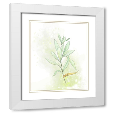 Fresh Herbs III White Modern Wood Framed Art Print with Double Matting by Diannart