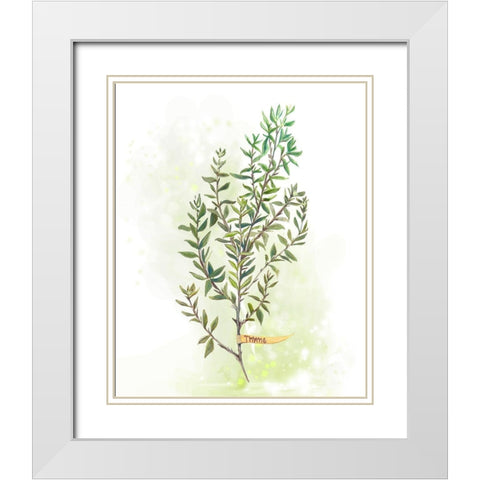 Fresh Herbs IV White Modern Wood Framed Art Print with Double Matting by Diannart