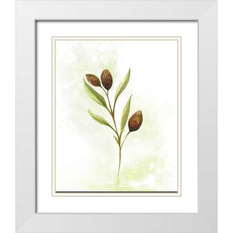 Fresh Herbs VI White Modern Wood Framed Art Print with Double Matting by Diannart