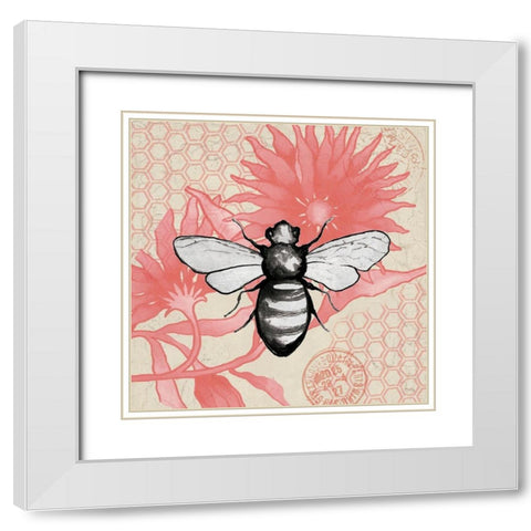 Bee on Pink Flower Square White Modern Wood Framed Art Print with Double Matting by Medley, Elizabeth