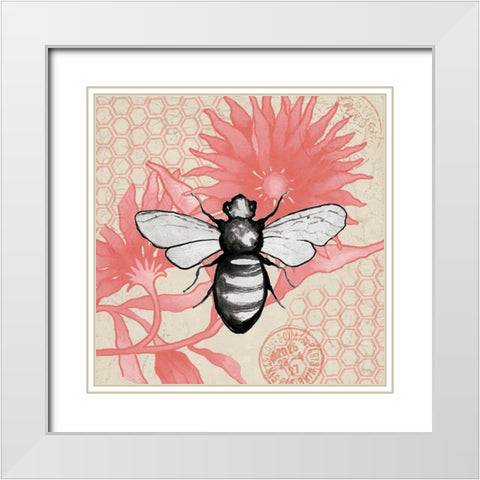 Bee on Pink Flower Square White Modern Wood Framed Art Print with Double Matting by Medley, Elizabeth
