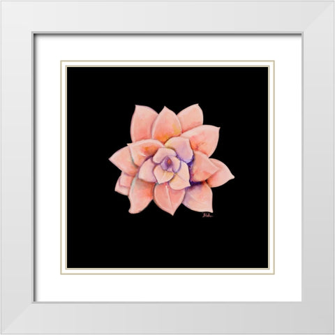 Peach Succulent on Black White Modern Wood Framed Art Print with Double Matting by Pinto, Patricia