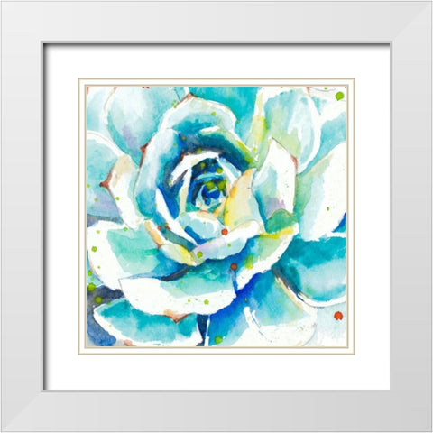Turquoise Succulent Close Up White Modern Wood Framed Art Print with Double Matting by Pinto, Patricia