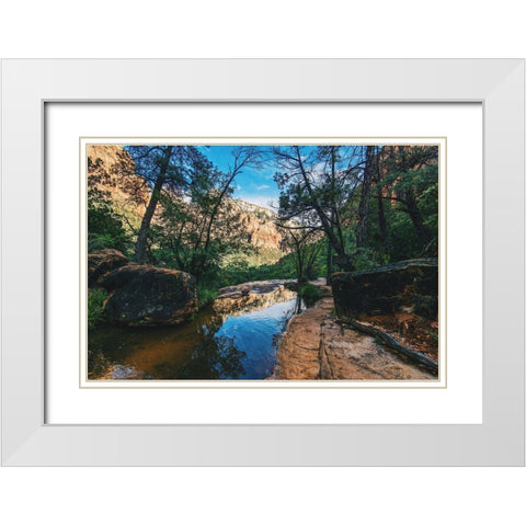 Summers Stream I White Modern Wood Framed Art Print with Double Matting by Stewart, Wil
