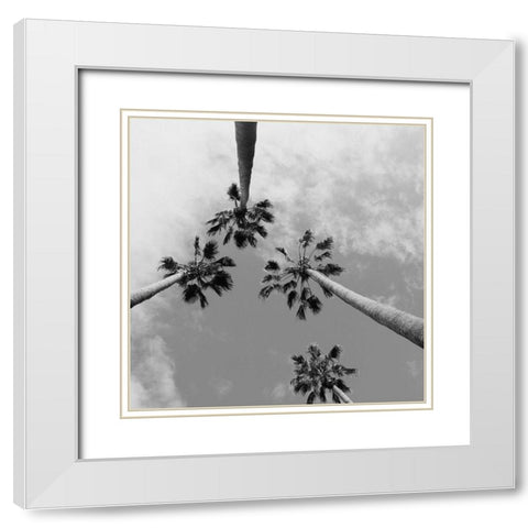 Tropical Gaze White Modern Wood Framed Art Print with Double Matting by Stewart, Wil
