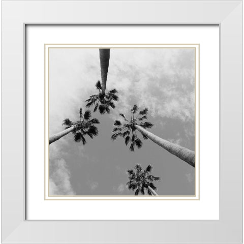 Tropical Gaze White Modern Wood Framed Art Print with Double Matting by Stewart, Wil