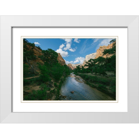 Summers Stream II White Modern Wood Framed Art Print with Double Matting by Stewart, Wil