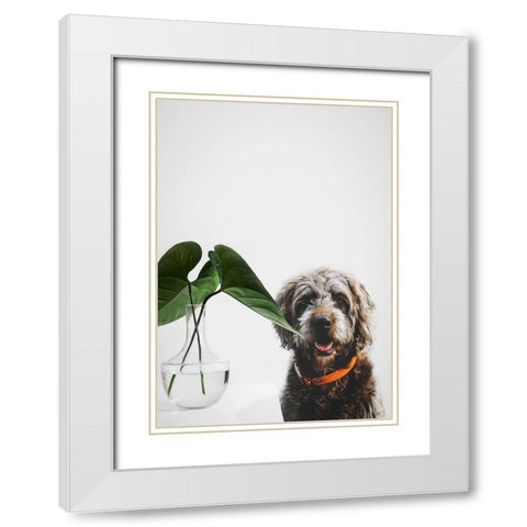 Dog Posing White Modern Wood Framed Art Print with Double Matting by SD Graphics Studio