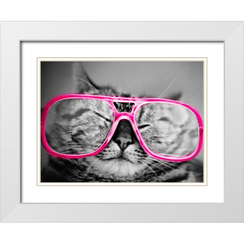 Hip Pets IV White Modern Wood Framed Art Print with Double Matting by SD Graphics Studio