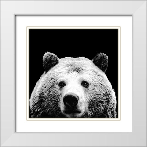 Furry Friends On Black I White Modern Wood Framed Art Print with Double Matting by SD Graphics Studio