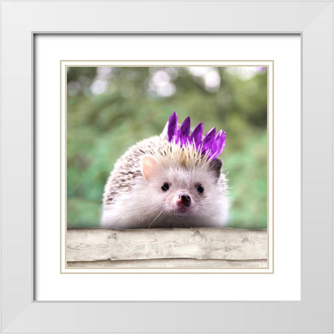Hedgehog With Crown White Modern Wood Framed Art Print with Double Matting by SD Graphics Studio
