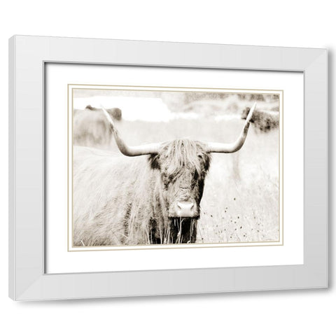 Sepia Bull Portrait White Modern Wood Framed Art Print with Double Matting by SD Graphics Studio