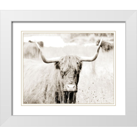 Sepia Bull Portrait White Modern Wood Framed Art Print with Double Matting by SD Graphics Studio