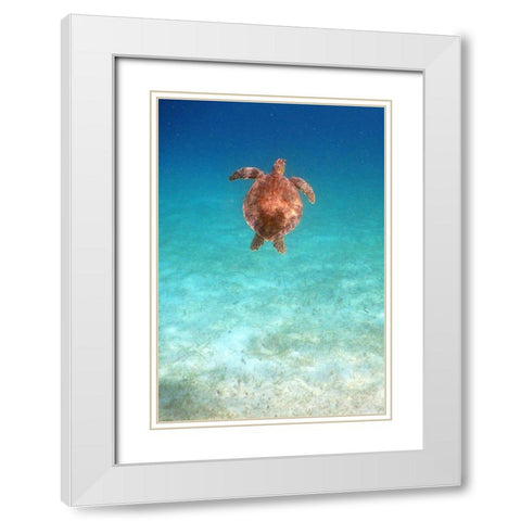 View from Below I White Modern Wood Framed Art Print with Double Matting by Mansfield, Kathy