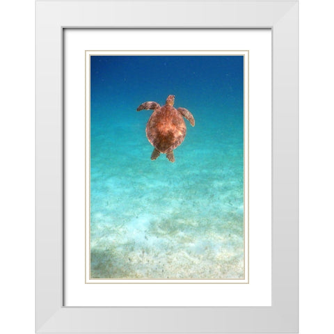 View from Below I White Modern Wood Framed Art Print with Double Matting by Mansfield, Kathy