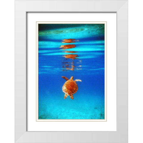 View from Below II White Modern Wood Framed Art Print with Double Matting by Mansfield, Kathy