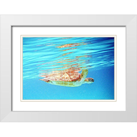 Underwater Depths I White Modern Wood Framed Art Print with Double Matting by Mansfield, Kathy