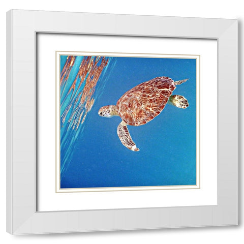 Underwater Depths II White Modern Wood Framed Art Print with Double Matting by Mansfield, Kathy