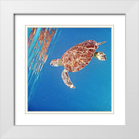 Underwater Depths II White Modern Wood Framed Art Print with Double Matting by Mansfield, Kathy