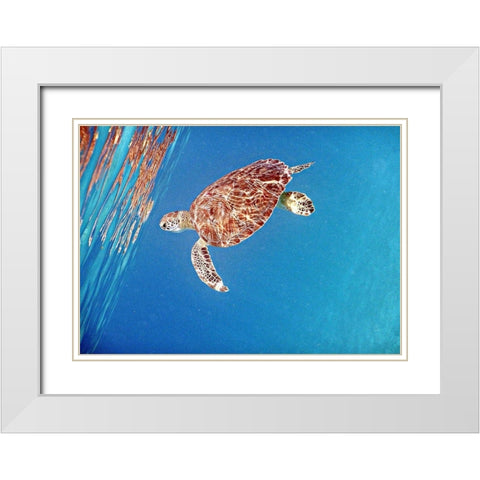 Underwater Depths II White Modern Wood Framed Art Print with Double Matting by Mansfield, Kathy