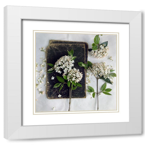 Read in the Garden Square White Modern Wood Framed Art Print with Double Matting by Gardner, sarah