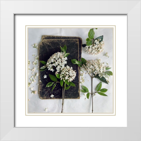 Read in the Garden Square White Modern Wood Framed Art Print with Double Matting by Gardner, sarah